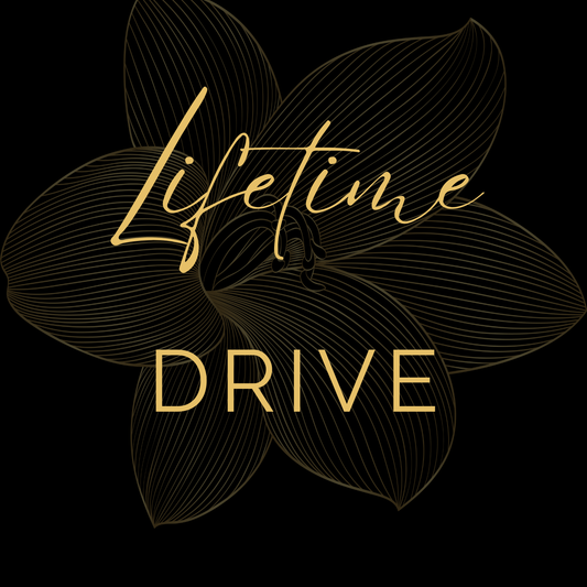 Lifetime Drive